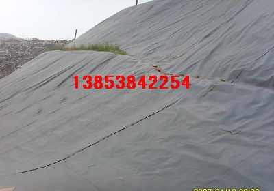 ���(y��ng)���ϻ���ɏź���BĤ���}����ˮ�ط��BĤ