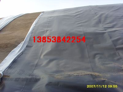 ���ֳ����ط��BĤ�ʸ����˹������BĤ������