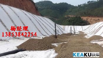 �~���B(y��ng)ֳ��ˮĤ����(j��)��ź�ط��BĤ��������(ch��ng)��