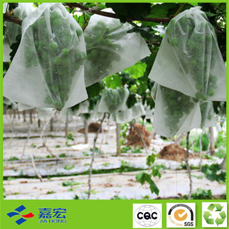 PP�o(w��)����ֲ����