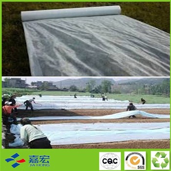 �o(w��)����