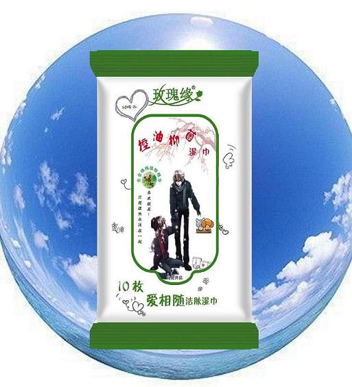 ����(y��ng)�����־����w���10Ƭ*300��