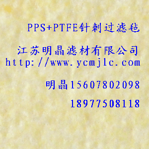 PPS+PTFEᘴ��^�V��