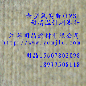 ���ͷ���˹��FMS)�͸ߜ�ᘴ̞V��