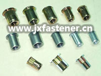 ����(y��ng)�T��ĸ