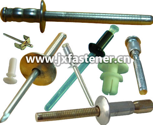 ����(y��ng)�T�