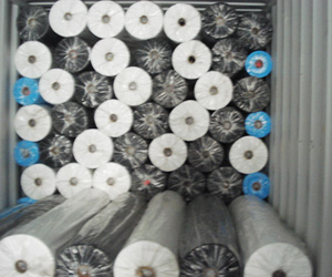 �o��������