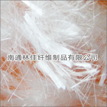 �����w�S 