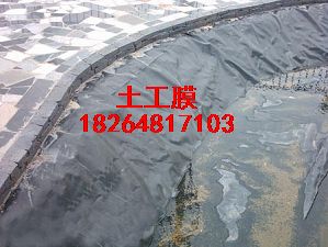 ����(y��ng)��������Ĥ�G������ĤHDPE����Ĥ