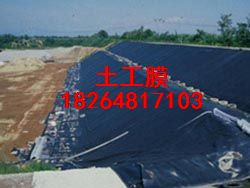 �������Ĥ�N�ۣ��ӱ��^(q��)����Ĥ����