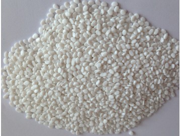 �{�������^͸�����ĸ��