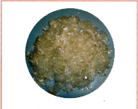 �۱�ϩ���w�S