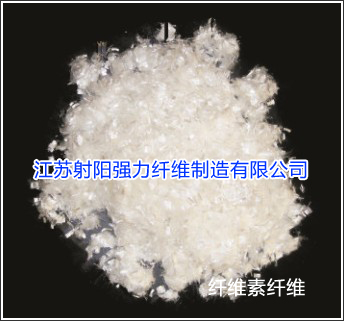 �w�S���w�S