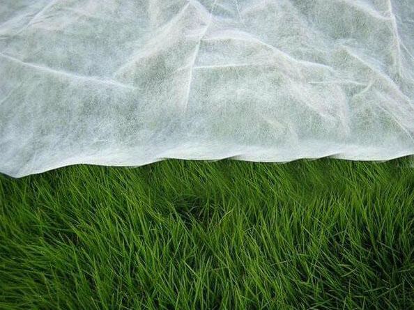 �r(n��ng)�I(y��)�ü�ճ�o(w��)����