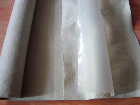 ������������Ĥ�������N��