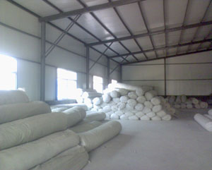 ����������Ĥ�N��