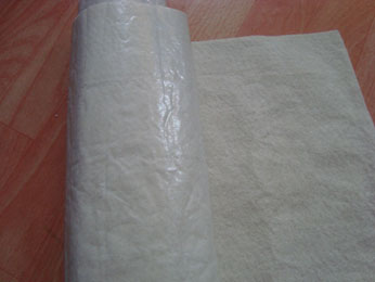 ����A�͸��g���B����������Ĥ