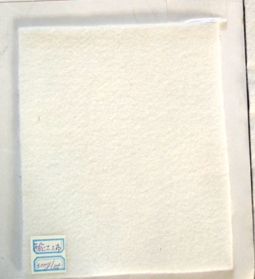 �o�����������o������