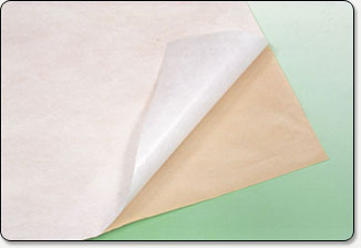 ��Ĥ�o����