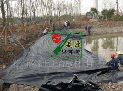 ����(y��ng)PE���BĤ����������Ĥ����ϯ�|