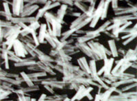 �۱�ϩ�W(w��ng)���w�S