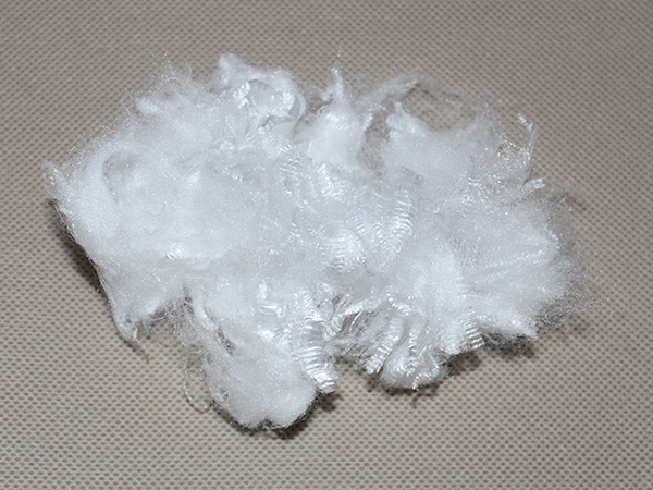 PP���w�S�S��