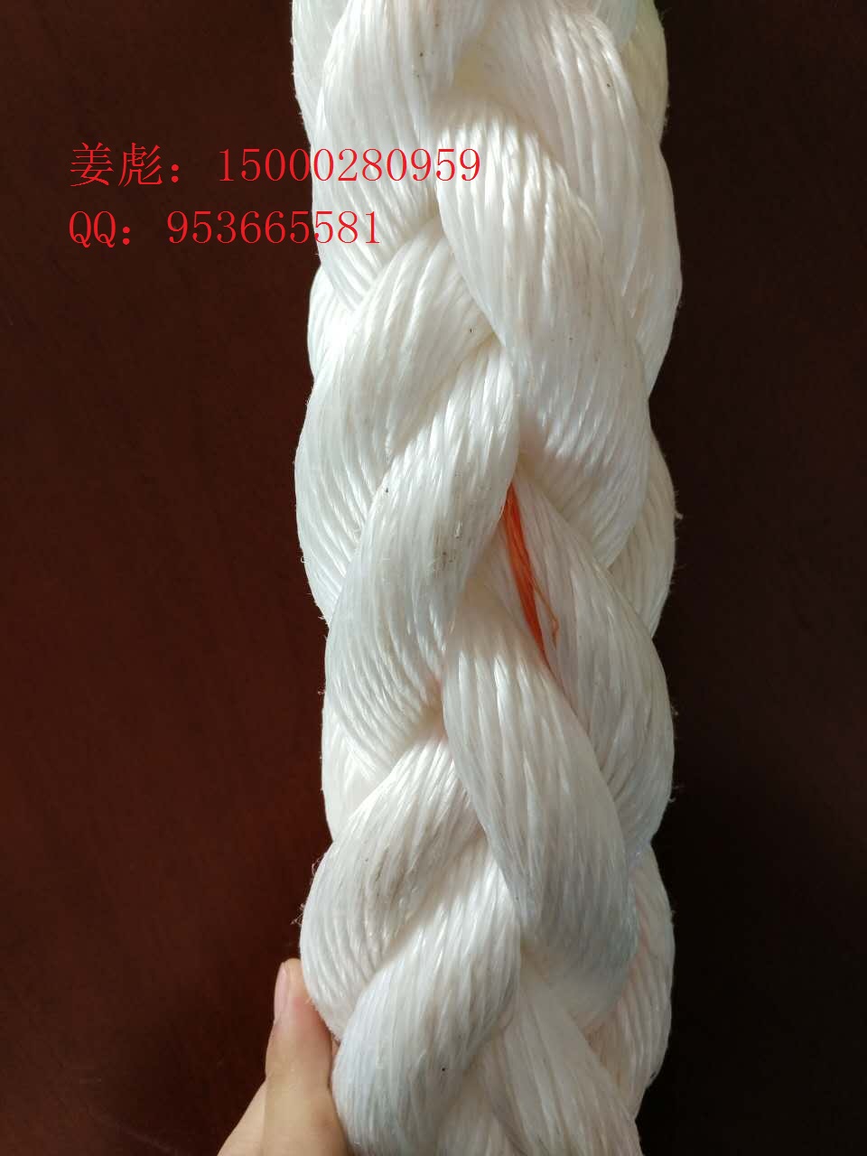 �����ߏ��ȱ��]�|�K���ߏ�PP�|�K