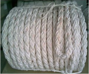 ���]�L�z�K�����]�L�z�˹��K