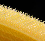 ����(y��ng)ħ�g(sh��)�N.ճ�ێ�