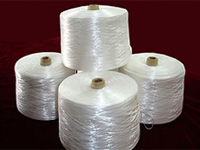 �ߏ�(qi��ng)���]�L(zh��ng)�z