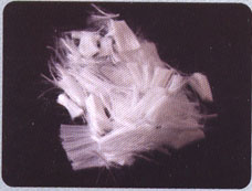 �����w�S