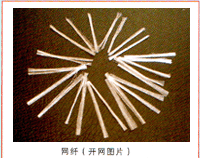 �����w�S