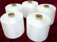 �������]�L(zh��ng)�z