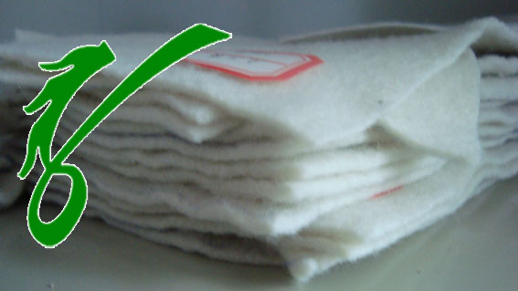 ��������̎��S����������