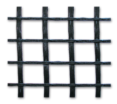 ��̓r�����w�S�������