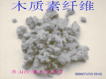 ľ�|(zh��)���w�S