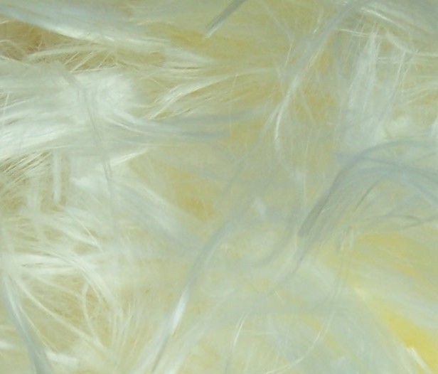 �����w�S