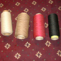 ���]�L(zh��ng)�z