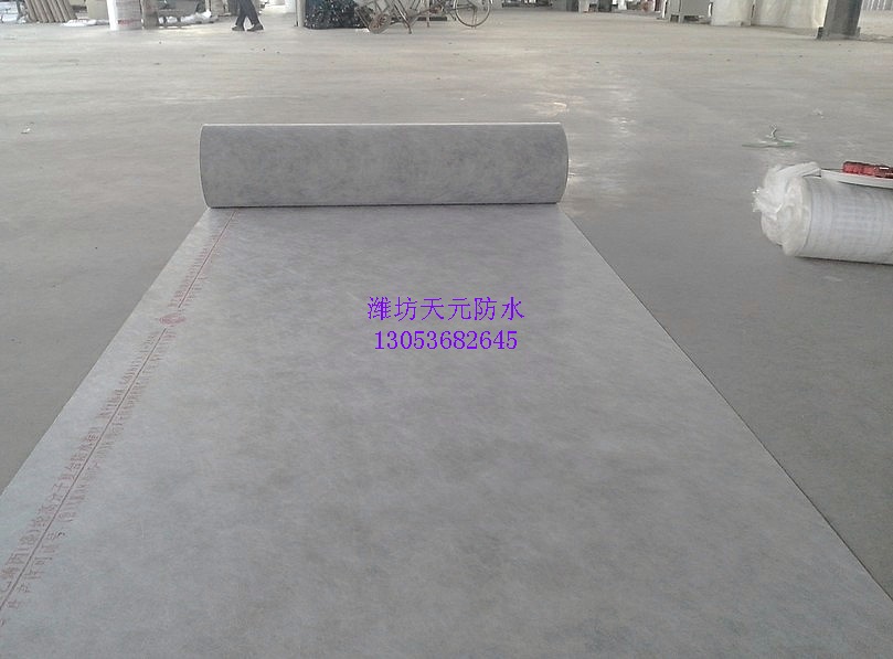 ����ϩ���]��ˮ����