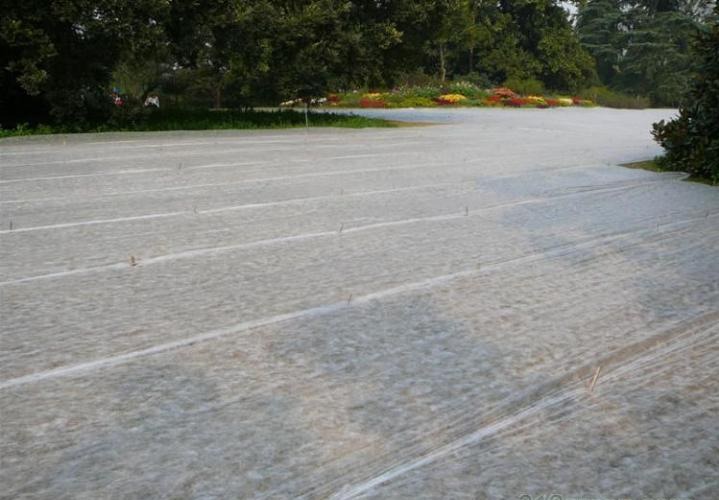 ���I(y��)���a(ch��n)�r(n��ng)�ßo����