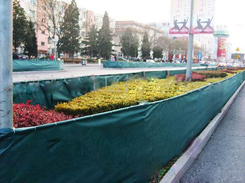 ����(y��ng)�G���o����