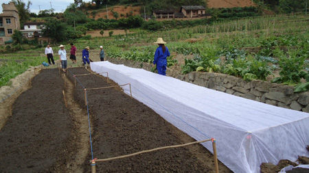 ����o����