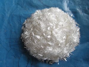 �����w�S