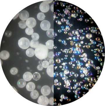 �߿������Ĳ���΢��