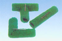 ��(y��u)�|(zh��)����ä�ϬF(xi��n)؛����(y��ng)