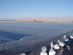 ����Ĥ����(y��ng)