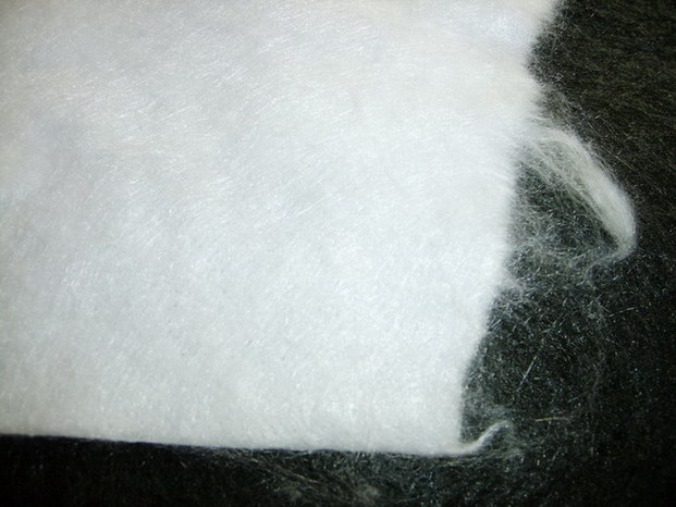 ���w�ǿ���������,����Ĥ����(f��)��������/Ĥ