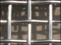 ���P䓺Y�W(w��ng)