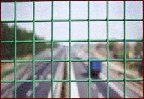 ��·�F·�o(h��)�ھW(w��ng)