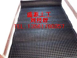 �Ӱ�HDPE����Ĥʩ������ʩ��Ҫ��